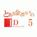 とある金漂亮ＲＣのＩＤ ５０５０４１５（インデックス）