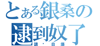 とある銀桑の逮到奴了（請你自爆）