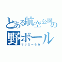 とある航空公園の野ボール（サッカーもね）