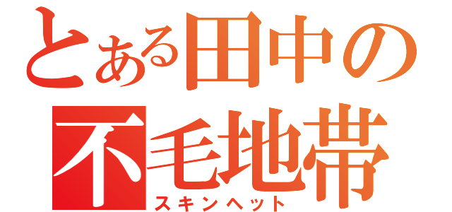 とある田中の不毛地帯（スキンヘット）