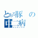 とある豚の中二病（インデックス）