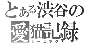 とある渋谷の愛猫記録（ミーとボク）