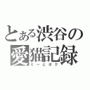 とある渋谷の愛猫記録（ミーとボク）