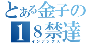 とある金子の１８禁達人（インデックス）