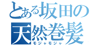 とある坂田の天然巻髪（モジャモジャ）