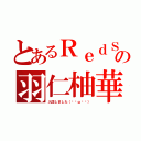 とあるＲｅｄＳａｎｓの羽仁柚華（入団しました（∗•ω•∗））