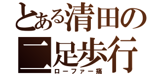 とある清田の二足歩行（ローファー痛）