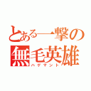 とある一撃の無毛英雄（ハゲマント）