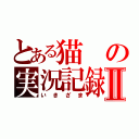 とある猫の実況記録Ⅱ（いきざま）