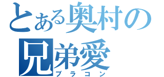 とある奥村の兄弟愛（ブラコン）