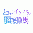 とあるイケメソの超絶種馬（ビッグキャノン）