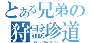 とある兄弟の狩霊珍道中（　ＳＵＰＥＲＮＡＴＵＲＡＬ）