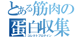 とある筋肉の蛋白収集（コレクトプロテイン）