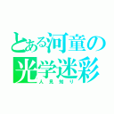 とある河童の光学迷彩（人見知り）