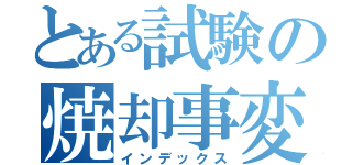 とある試験の焼却事変（インデックス）