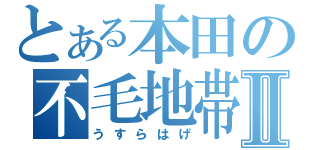 とある本田の不毛地帯Ⅱ（うすらはげ）