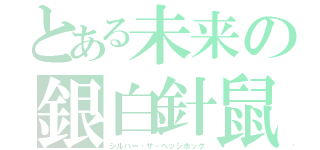 とある未来の銀白針鼠（シルバー・ザ・ヘッジホッグ）