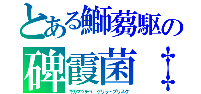 とある鰤蒭駆の碑霞菌‡（ギガマッチョ　ゲリラ・ブリスク）