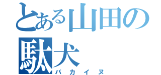 とある山田の駄犬（バカイヌ）