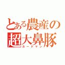 とある農産の超大鼻豚（カードマン）