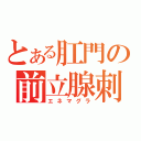 とある肛門の前立腺刺激（エネマグラ）