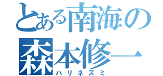 とある南海の森本修一（ハリネズミ）