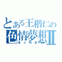 とある王楷仁の色情夢想Ⅱ（當上阿部）