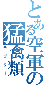 とある空軍の猛禽類（ラプター）