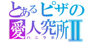 とあるピザの愛人究所Ⅱ（ハニラボ）