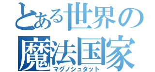 とある世界の魔法国家（マグノシュタット）