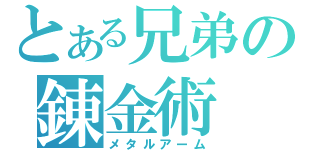 とある兄弟の錬金術（メタルアーム）