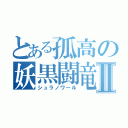 とある孤高の妖黒闘竜Ⅱ（シュラノワール）