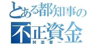 とある都知事の不正資金（舛添要一）