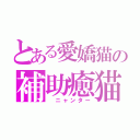 とある愛嬌猫の補助癒猫（　ニャンター）