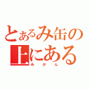 とあるみ缶の上にある（みかん）