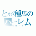 とある種馬のハーレム（北郷一刀）