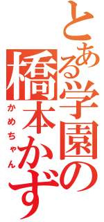 とある学園の橋本かずあき（かめちゃん）