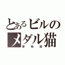 とあるビルのメダル猫（夢物語）