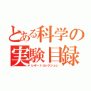 とある科学の実験目録（レポートコレクション）