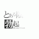 とある陰嚢の勃起（Ｅｒｅｃｔｉｏｎ）