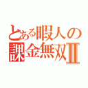 とある暇人の課金無双Ⅱ（）