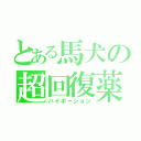 とある馬犬の超回復薬（ハイポーション）