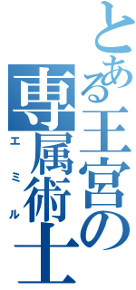 とある王宮の専属術士（エミル）