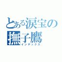 とある涙宝の撫子鷹（インデックス）