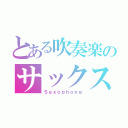 とある吹奏楽のサックス女（Ｓａｘｏｐｈｏｎｅ）