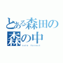 とある森田の森の中（ｉｎｔｏ ｆｏｒｅｓｔ）