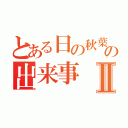 とある日の秋葉原での出来事Ⅱ（）