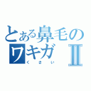 とある鼻毛のワキガⅡ（くさい）