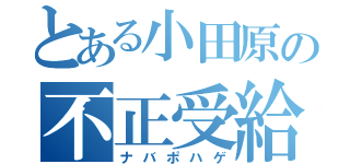 とある小田原の不正受給者（ナバポハゲ）