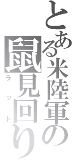 とある米陸軍の鼠見回り（ラット）